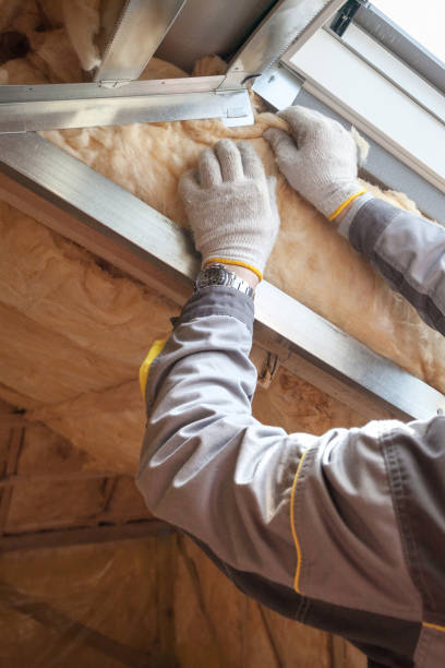 Types of Insulation We Offer in Carrington, ND