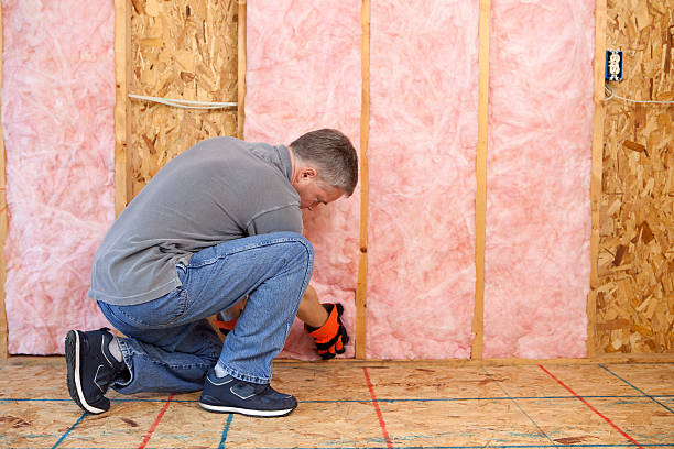 Best Cellulose Insulation in Carrington, ND