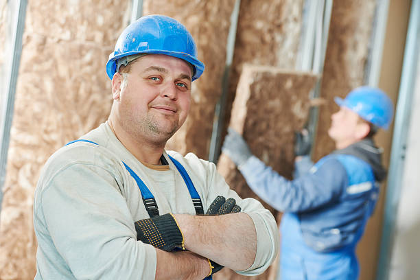 Best Eco-Friendly Insulation in Carrington, ND