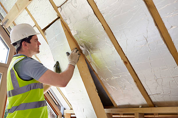 Best DIY Insulation Kits and Guidance in Carrington, ND