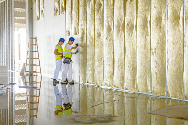 Best Blown-in Insulation in Carrington, ND
